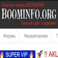 BoomInfo